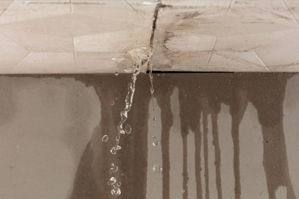 Professional Structural Drying technician working in Athens, WI